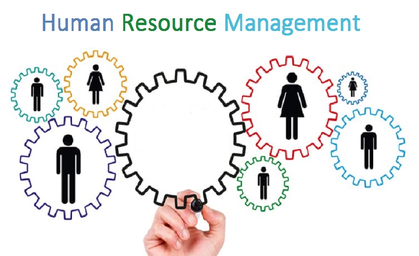 Psychology in Performance Appraisal: An HR Functions